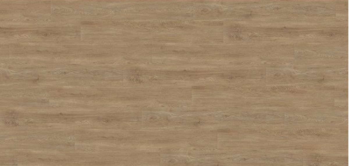 Boston LUP - 17805 Boston LUP - 17805