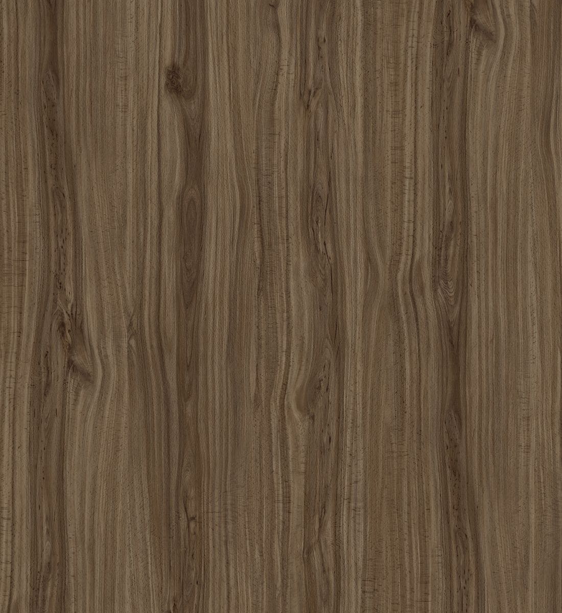 Noyer 3079 37 Noyer 3079 37