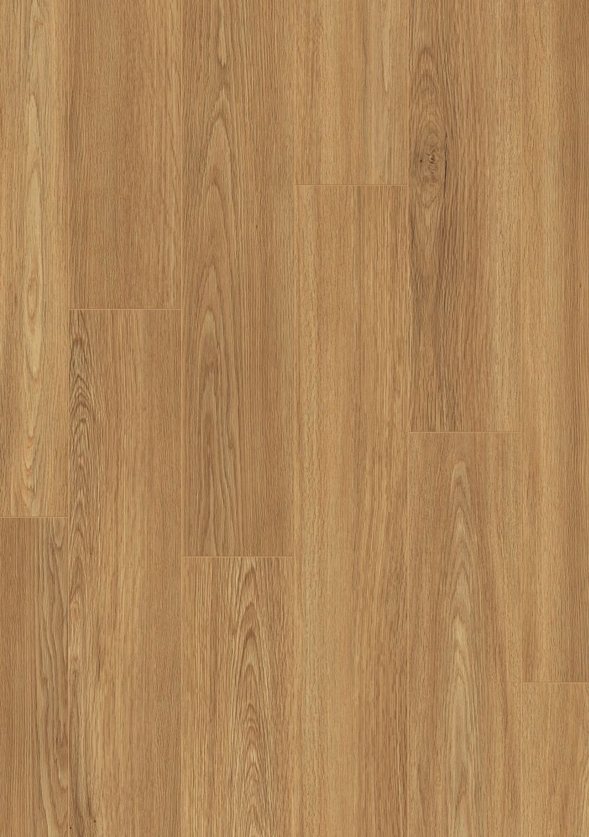 33803 Roble café 33803 Roble café