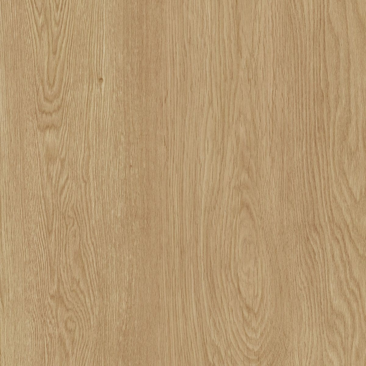 33827 Roble francés 33827 Roble francés