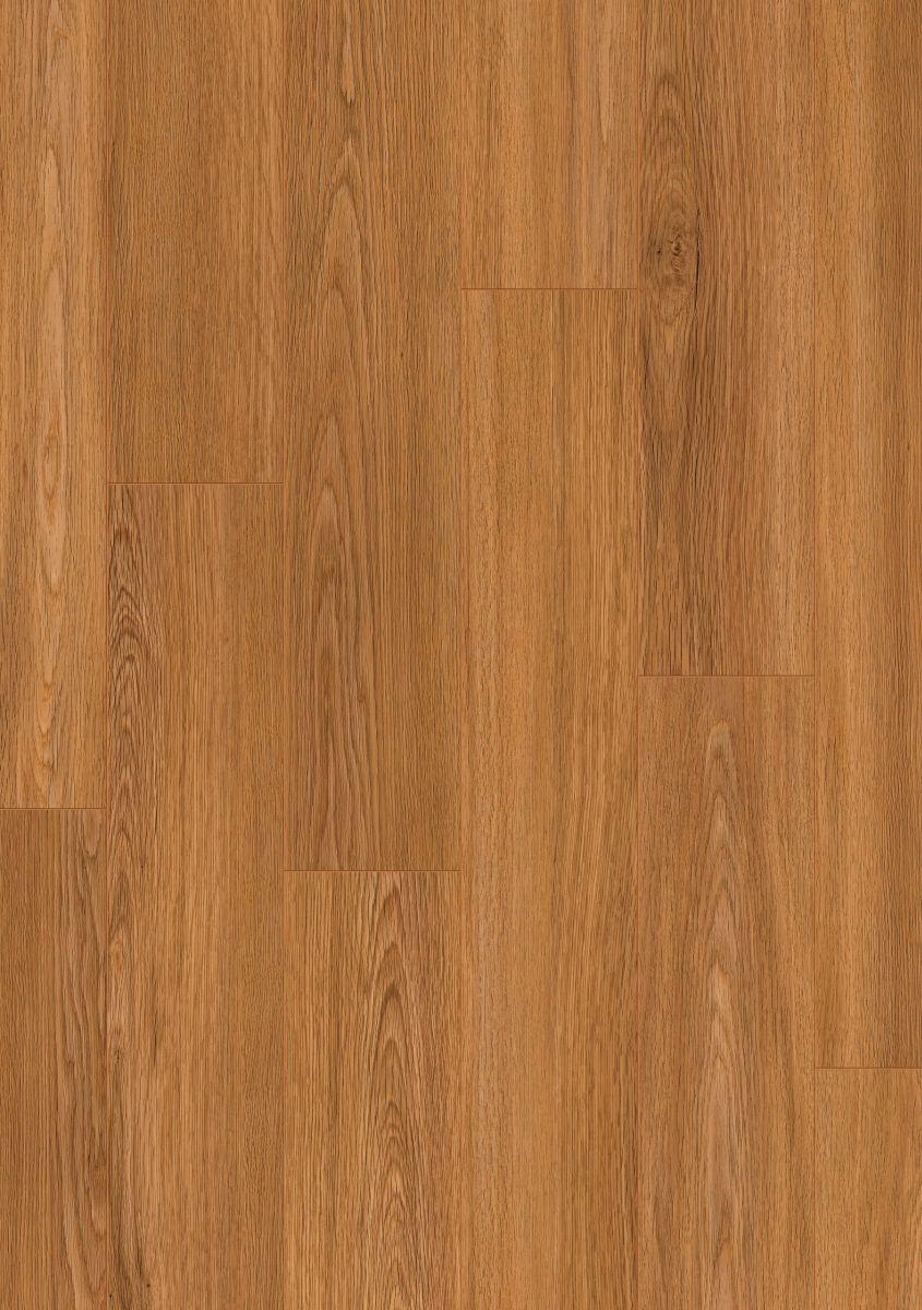 34802 Roble leyenda 34802 Roble leyenda