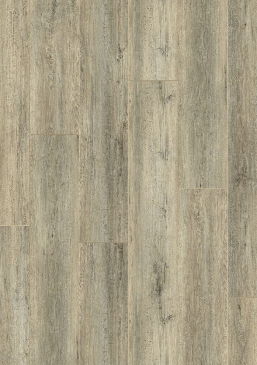 36807 Roble Jack 36807 Roble Jack