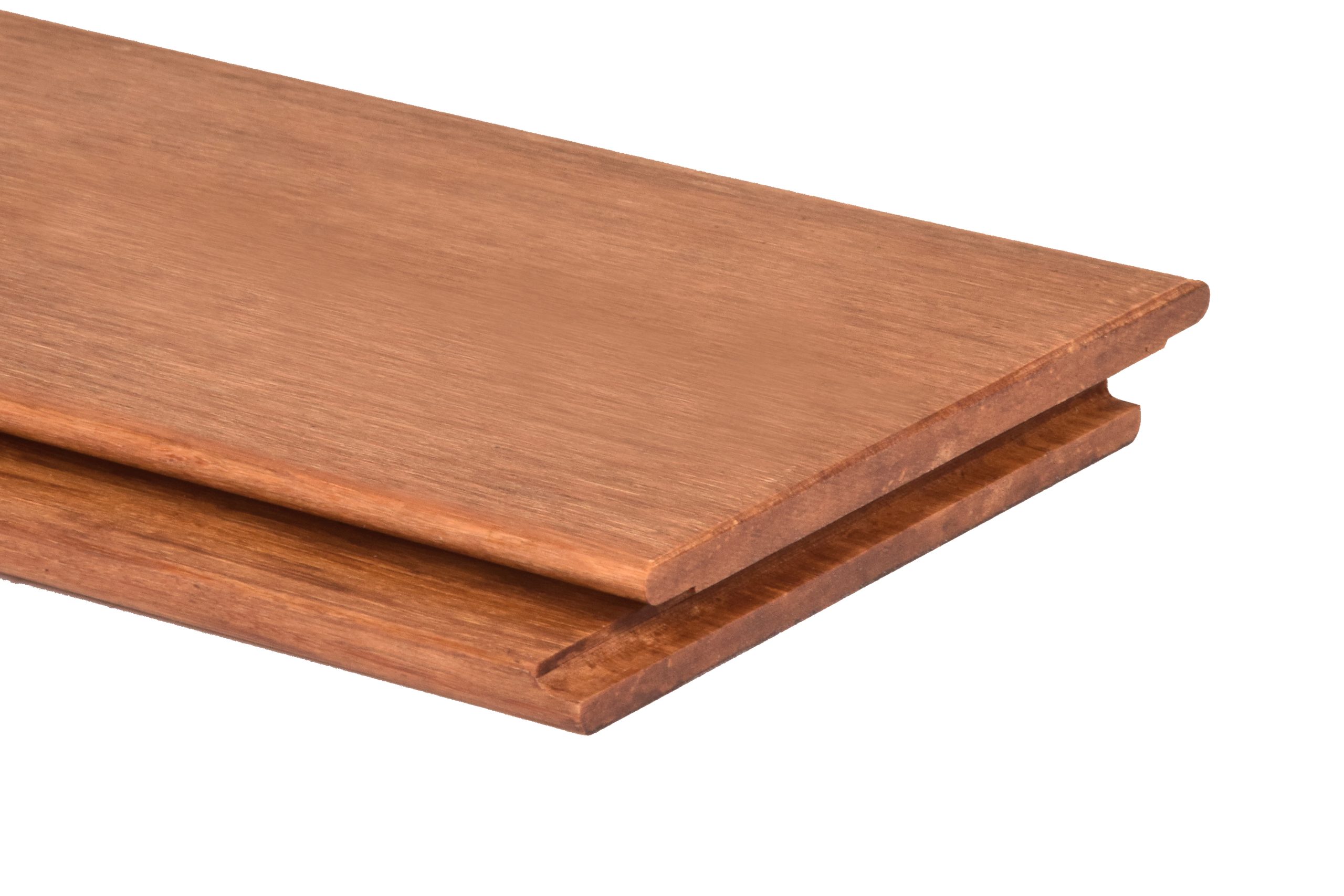 fachada 18- FACHADA CTECH ES18-SSL-5TG-PSS - Imagen 1