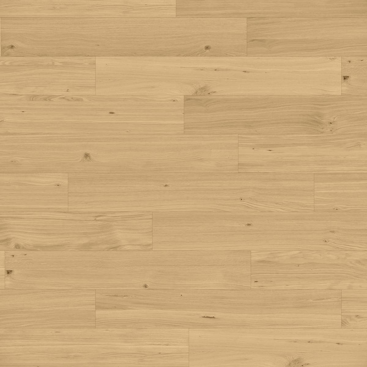 Pro Natural Oak Rustic Light Pro Natural Oak Rustic Light