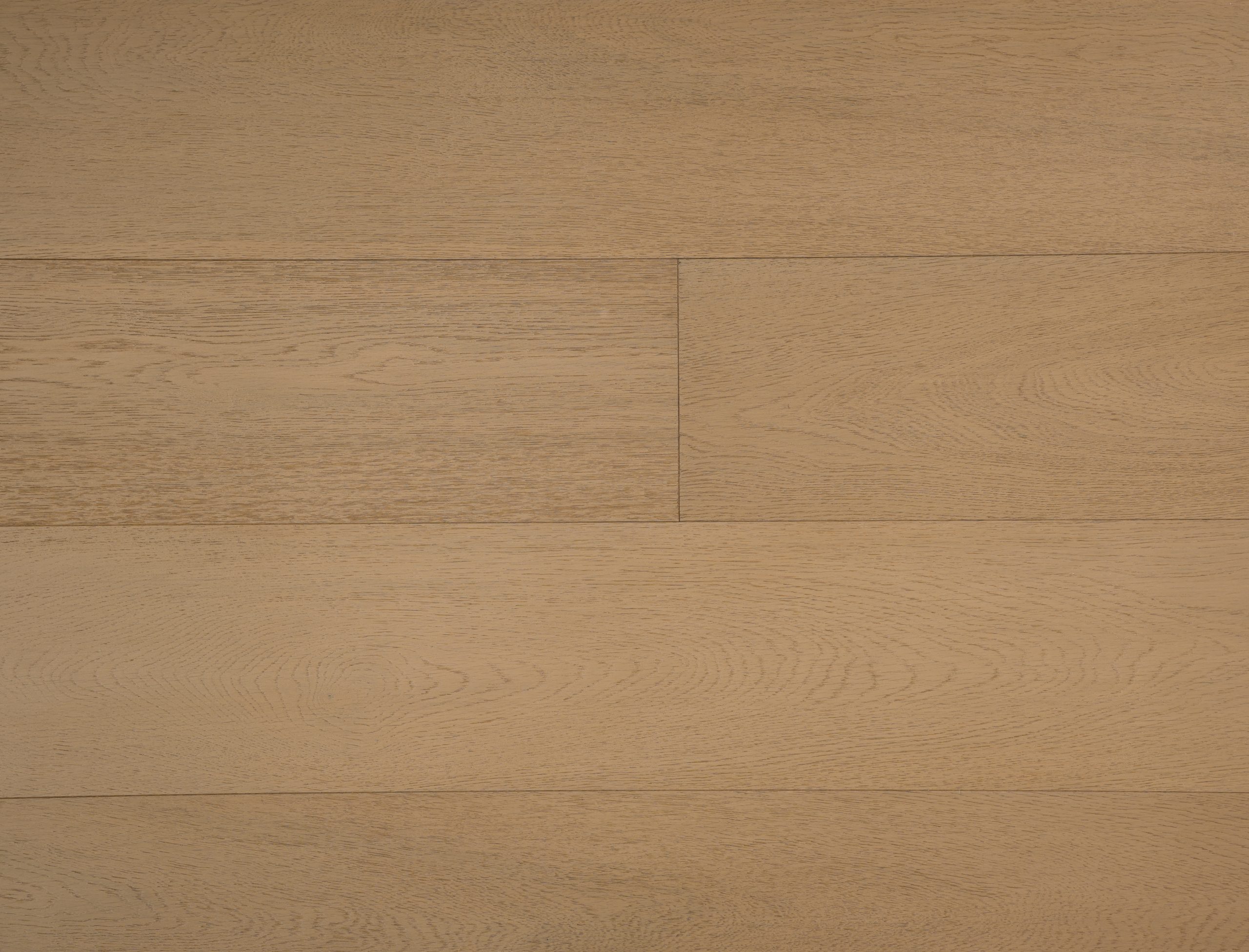 MDA CINE DE AUTOR VIVO 193026 Roble Vivo MDA193026 - Imagen 1